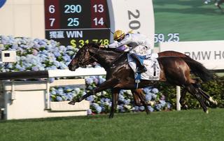NZB graduate Golden Sixty claims the Most Popular Horse of the Year Award.